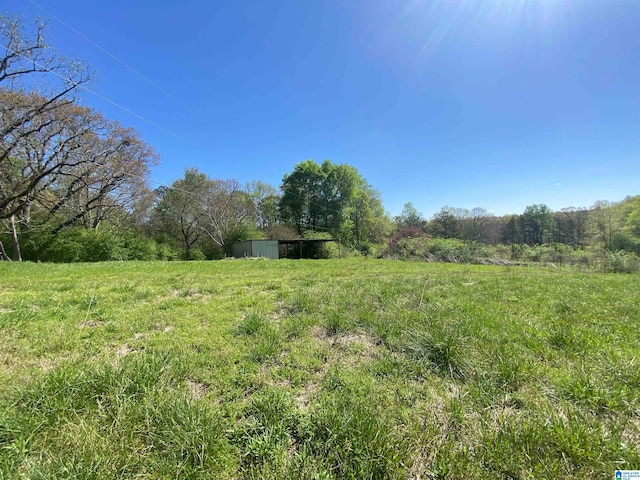 view of yard featuring a storage shed