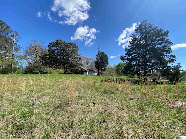 view of yard with a rural view