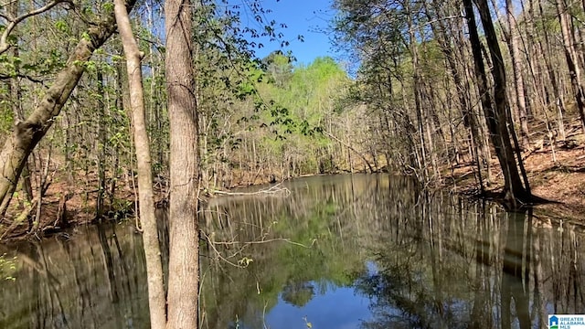 view of water feature