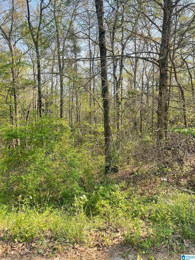 0 Sugar Hill Dr Unit 29, Heflin AL, 36264 land for sale