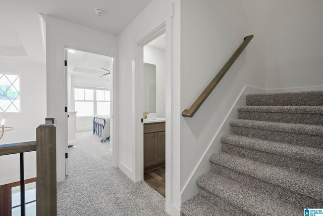 stairway featuring light colored carpet and sink