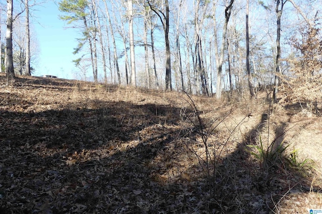 Listing photo 2 for LOT5 Daisy Dr Unit 5, Wedowee AL 36278