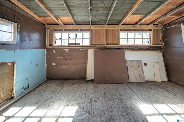 2335 10th Ave, Birmingham, AL 35205 - kitchen featuring plenty of natural light and wood-type flooring