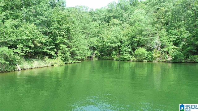 0 Evergreen Crst Unit 12, Wedowee AL, 36278 land for sale