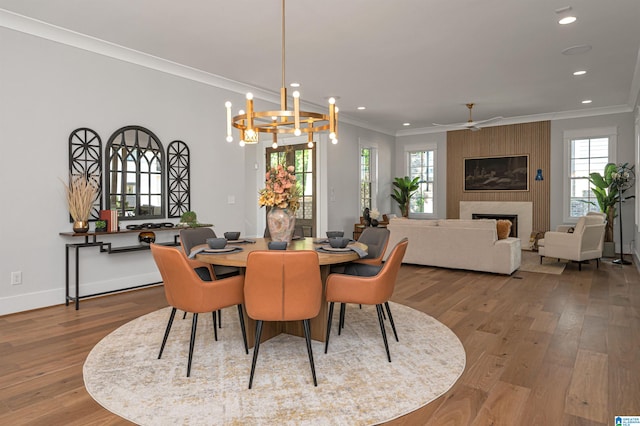 dining area featuring a healthy amount of sunlight, hardwood / wood-style floors, and a fireplace