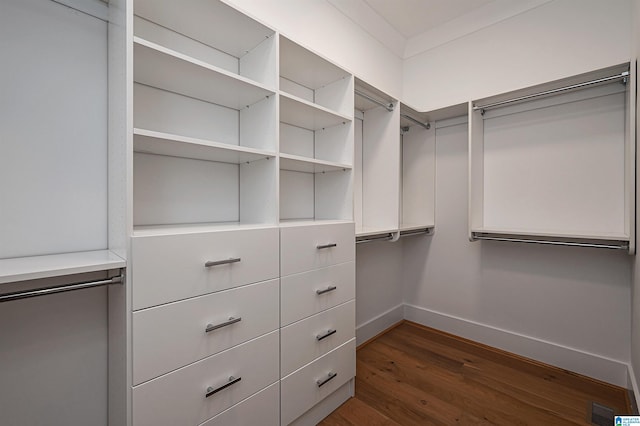 spacious closet with dark hardwood / wood-style flooring