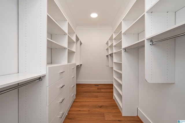 walk in closet with wood-type flooring