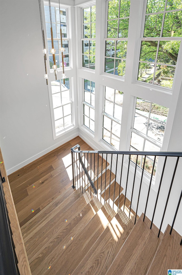 stairs with hardwood / wood-style flooring