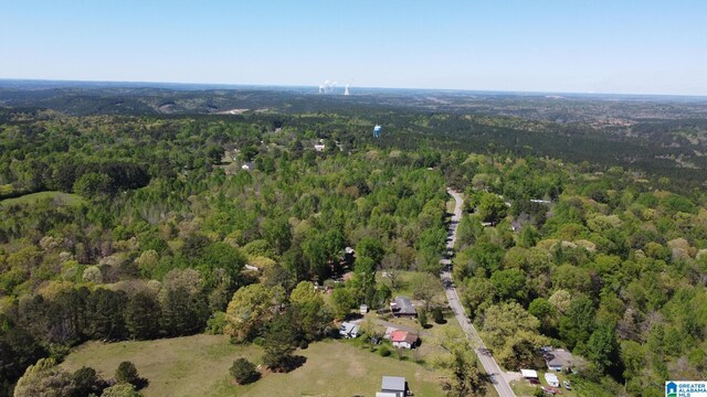 view of bird's eye view