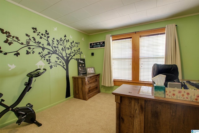 home office featuring carpet flooring and crown molding