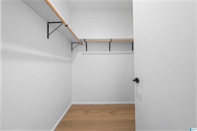 spacious closet with hardwood / wood-style floors