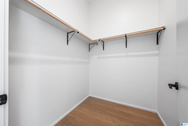 spacious closet with wood-type flooring