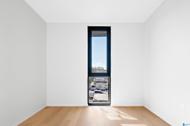 spare room with wood-type flooring