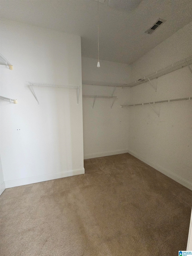 walk in closet with carpet