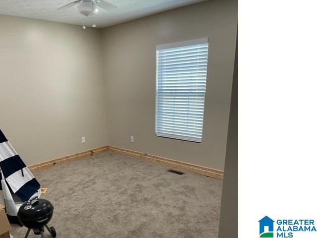 spare room with ceiling fan and carpet flooring