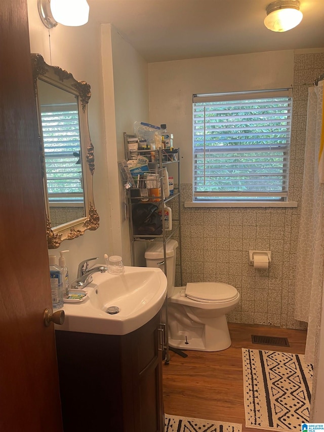 bathroom with wood-type flooring, vanity, and toilet