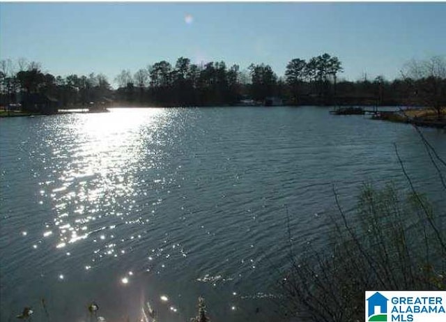 250 Harbour Dr Unit 8, Wilsonville AL, 35186 land for sale