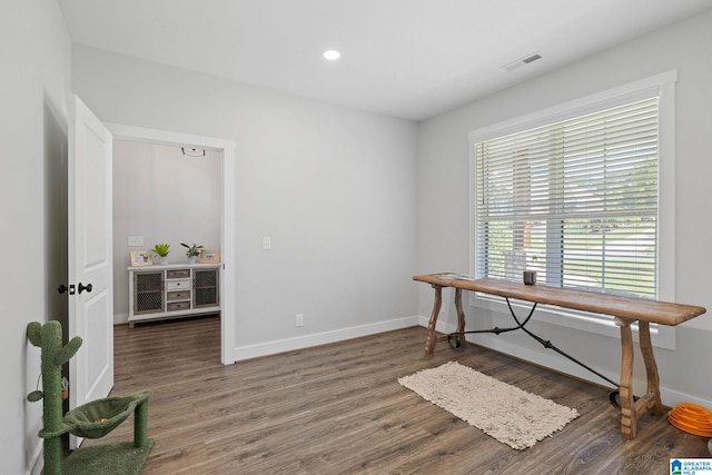 interior space with dark wood-type flooring