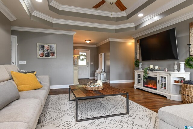 living room featuring ornamental molding, ceiling fan, a raised ceiling, and dark wood-type flooring