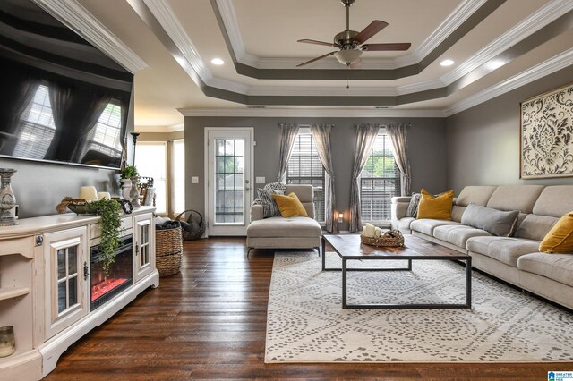 living room with ceiling fan, plenty of natural light, a raised ceiling, and dark hardwood / wood-style flooring