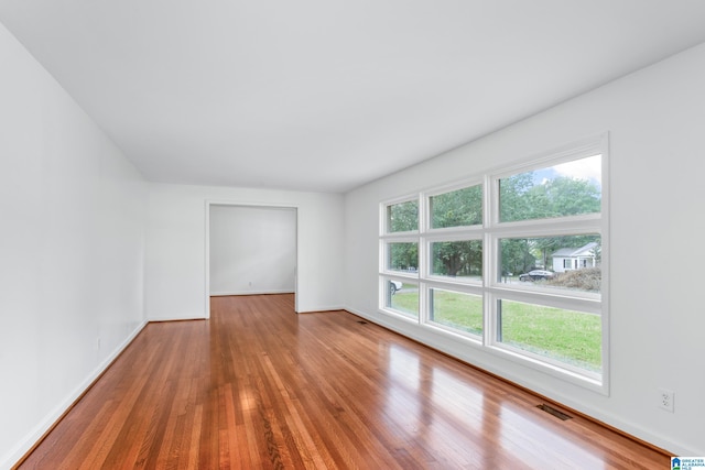 spare room featuring wood-type flooring