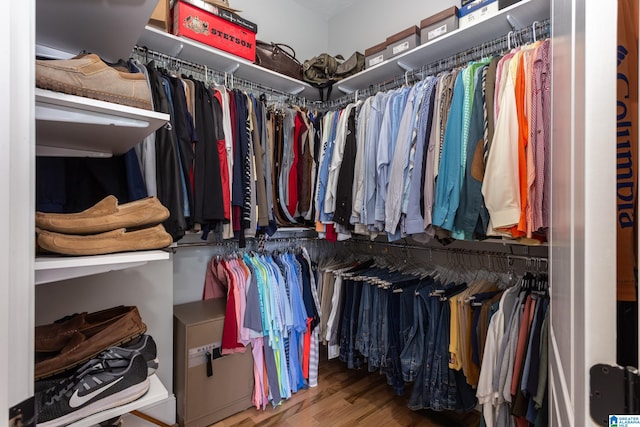 walk in closet featuring wood-type flooring