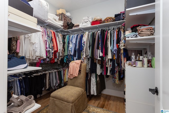 walk in closet featuring wood-type flooring