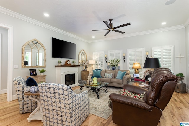 living room with ceiling fan, crown molding, and light hardwood / wood-style flooring