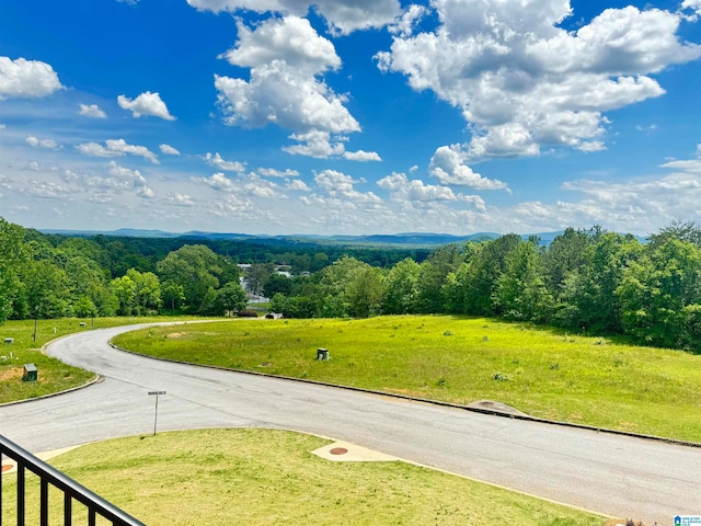 view of property's community featuring a yard