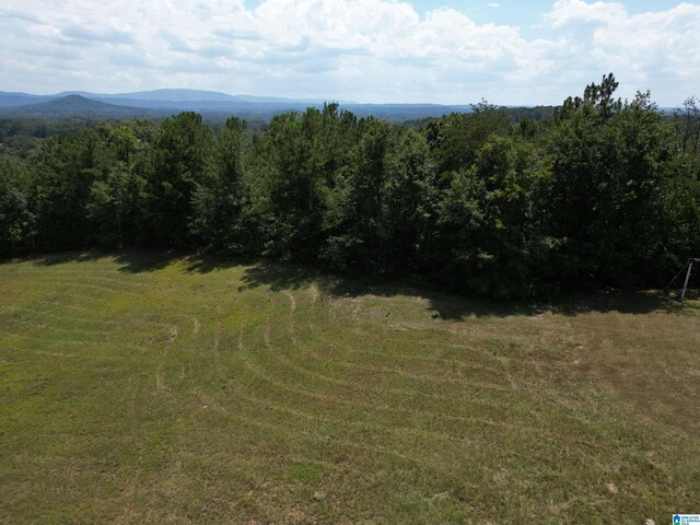 view of nature featuring a mountain view