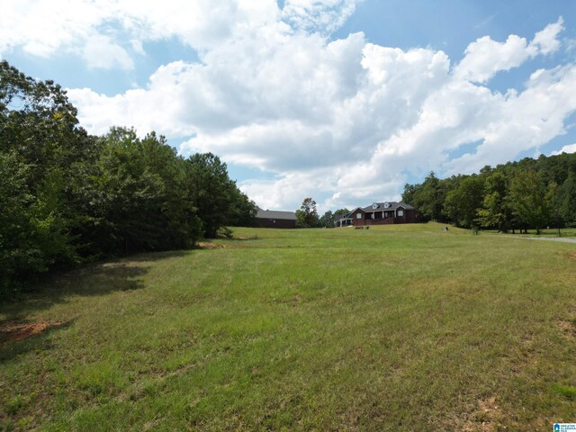 view of yard featuring a rural view