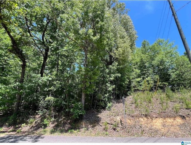 Listing photo 3 for 0 Tillman Ave Unit 7, Anniston AL 36201