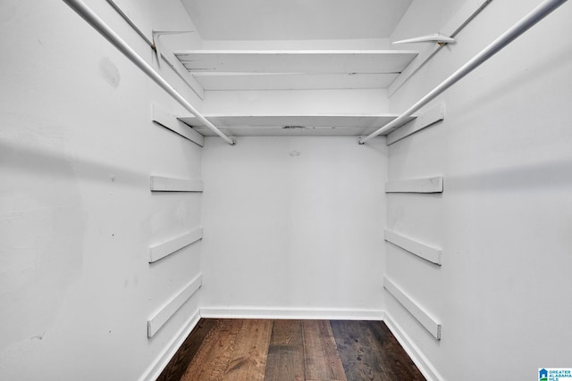 spacious closet featuring hardwood / wood-style floors