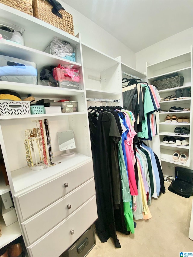 view of walk in closet