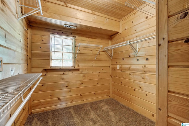 spacious closet with carpet flooring