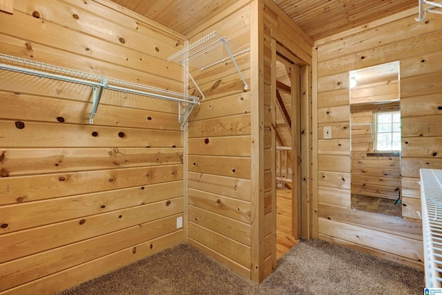 spacious closet featuring carpet