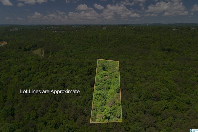 view of birds eye view of property