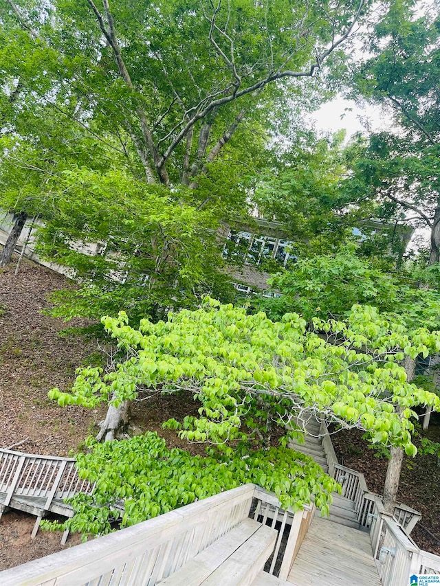 view of yard with a deck