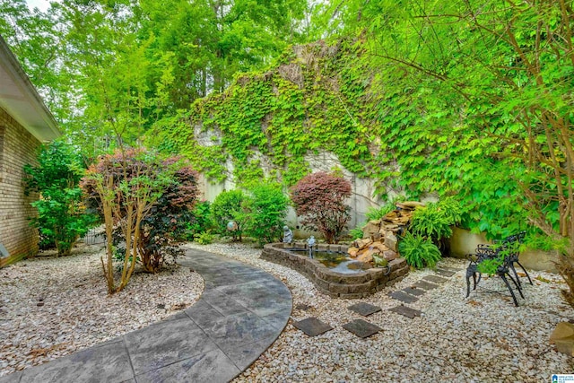 view of yard featuring a patio area