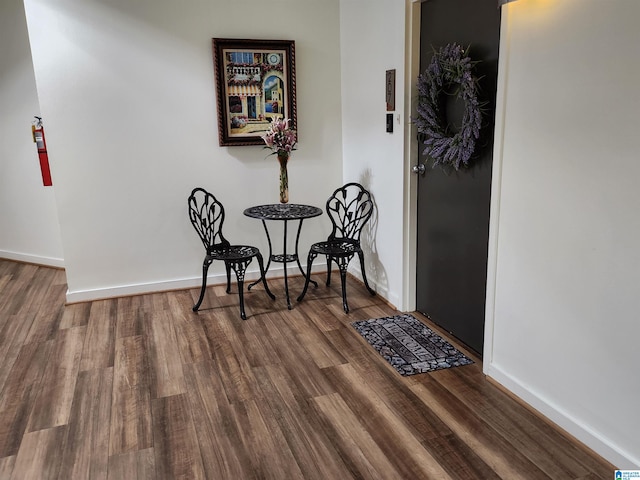 living area featuring wood-type flooring