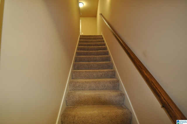 stairway featuring carpet