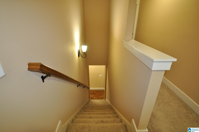 staircase featuring carpet flooring