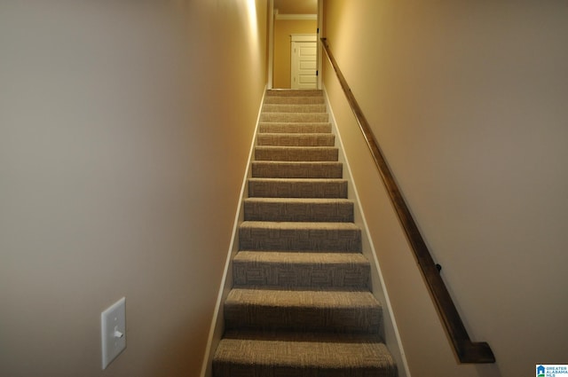 stairs with carpet