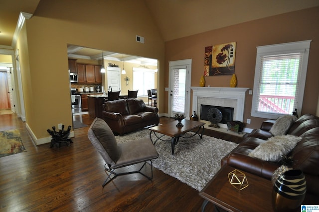 living room with high vaulted ceiling and dark hardwood / wood-style flooring