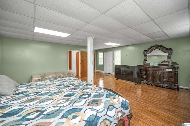 bedroom featuring hardwood / wood-style flooring and a drop ceiling