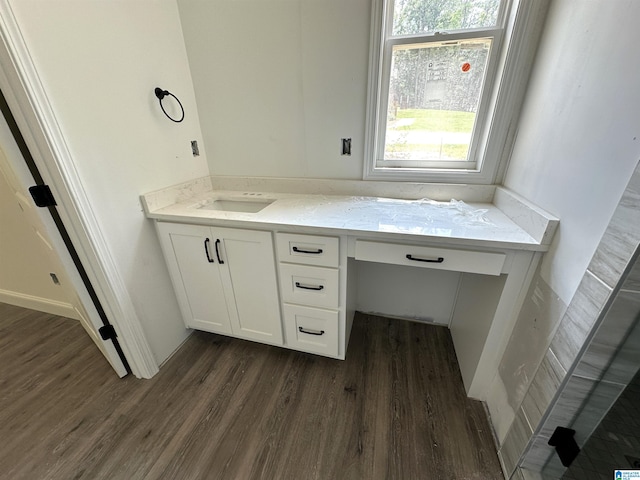 bathroom with wood-type flooring and vanity