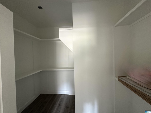 spacious closet featuring dark hardwood / wood-style floors