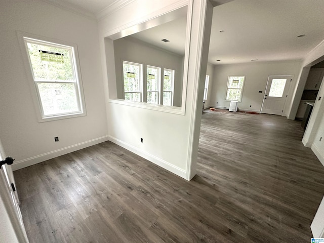 empty room featuring crown molding, plenty of natural light, and dark hardwood / wood-style floors