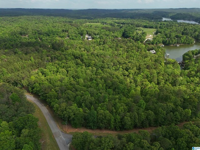 LOTS125 Red Cedar Dr Unit 125, Wedowee AL, 36278 land for sale