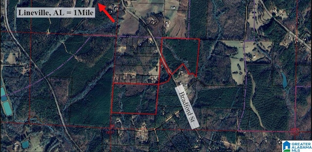 0 Bradford St Unit 0, Lineville AL, 36266 land for sale